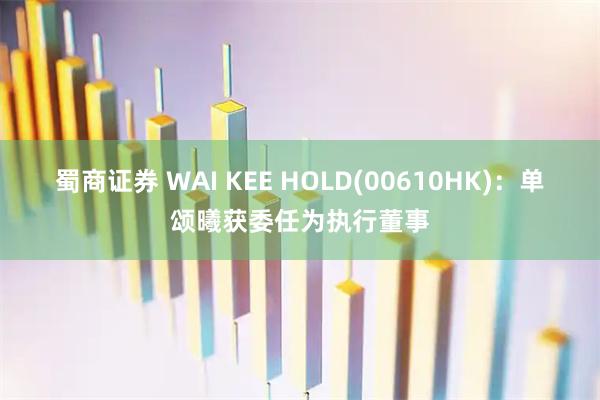 蜀商证券 WAI KEE HOLD(00610HK)：单颂曦获委任为执行董事