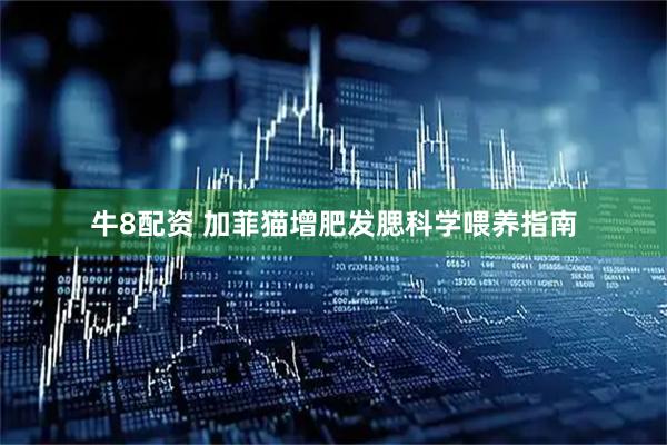 牛8配资 加菲猫增肥发腮科学喂养指南