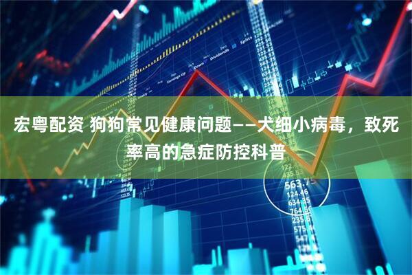 宏粤配资 狗狗常见健康问题——犬细小病毒，致死率高的急症防控科普