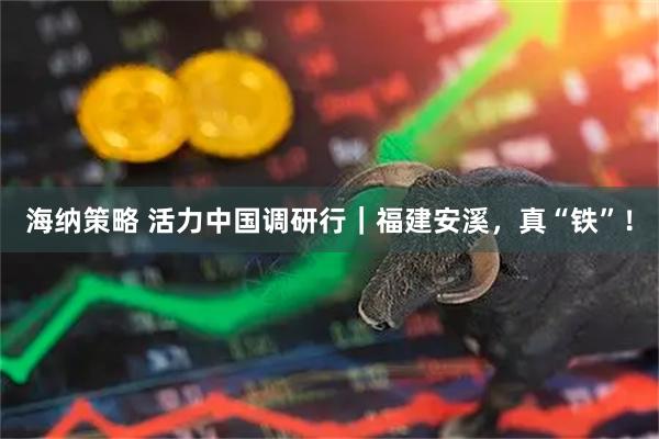 海纳策略 活力中国调研行｜福建安溪，真“铁”！
